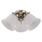 Westinghouse Ceiling Fan -Light Kit 3Lgt Cluster, Antique Brass Frosted Ribbed Glass 7784800 - alternate 1